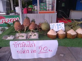 Sairung Farmstay and Cawboy Krabi - 5