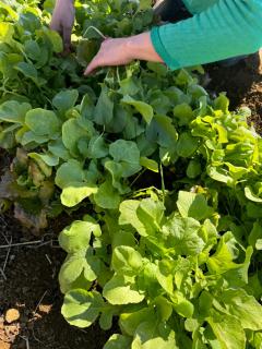 Scandinavian Chalet in the Atlas Mountains - Ifrane - 4