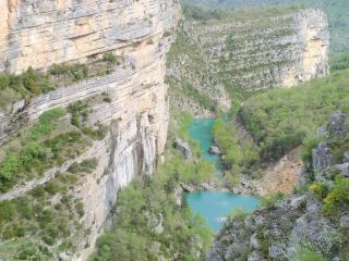 Les Callunes - Annot - 1