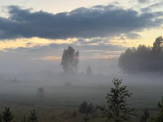 Gwiezdny Rezerwat, Siedlisko 320m2, Sauna i Natura na Wyłączność - 4