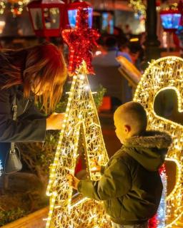 Parrot’s House - Lloret de Mar - 8