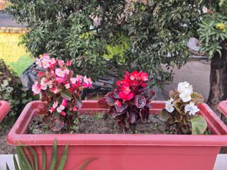 Jim Corbett Guest House - 2