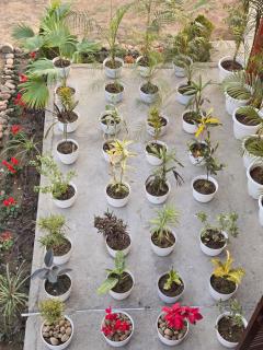 Jim Corbett Guest House - 5