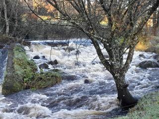 St Molings Well House and Gardens - 6