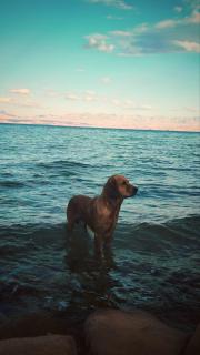 Relax Beach Camp - 3