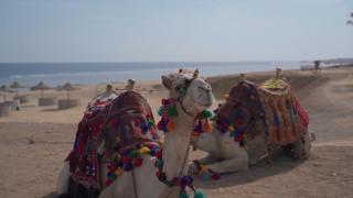 Oyster Bay Beach Suites - 3