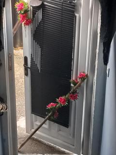 First Floor Flat - 5