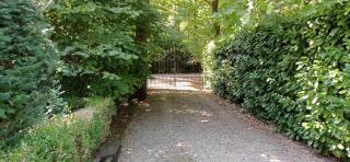 La Cuesta in the forest - 6