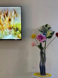 Arrabella Capetown Stay - Rooms Apartment & Studios - 2