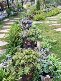 Mộc Homestay - Mộc Châu - 5