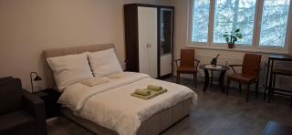 One-room apartment-around Bojnice - 9