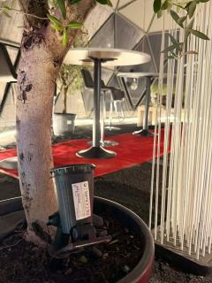 The Forest Dome Nordic Event Space in Nature - 3