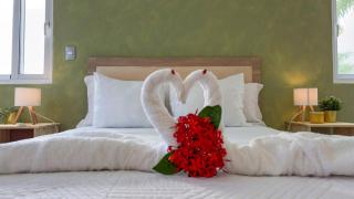 Oceanfront Escondido Bay Laguna Beach - 6