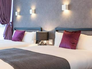 Dotonbori View Luxury Penthouse - 3