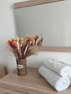 Apartment near the Kazakhstan Hotel in Almaty - 9