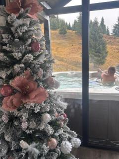 Cuibul lui Răzvan - Domeniul Barabuc Colibița - 9