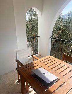 Traditional Kalkan Villa with Private Pool and Gym - 1
