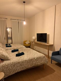 La Villa Louana charme de l'ancien en cœur de ville - 2