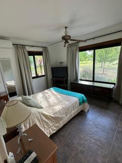 Las Cortaderas House - 2