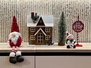 Modern Mountain Mystic Kolasin - 6