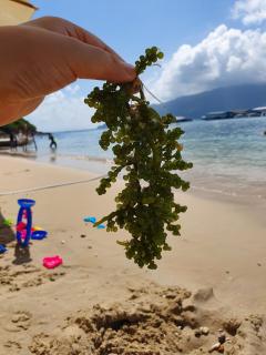 Minh Khai homestay - 9