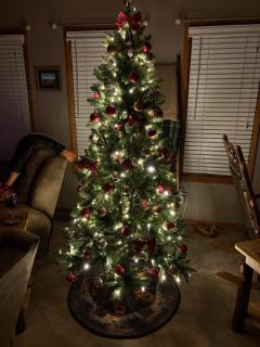 Woodland Hideaway - Naples - 0