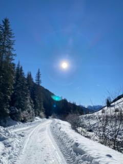 Ferienwohnung Eichhorner - 2