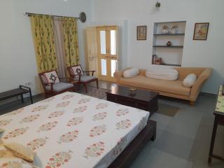 Roda House - a boutique homestay in Bikaner - 7