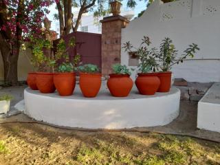 Roda House - a boutique homestay in Bikaner - 9