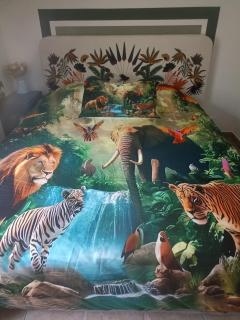 De l'Amazone à la Savane - 0