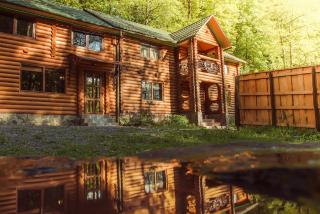 Cottage Teremok - Ilʼnytsya - 8