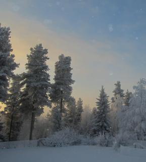 Taika the Arctic Gem with Sauna, Glazed Balcony & Free Parking - 8