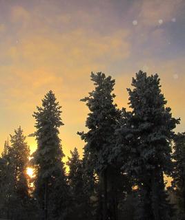 Taika the Arctic Gem with Sauna, Glazed Balcony & Free Parking - 6