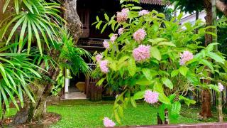 SJ house Unique wood Thai style - 7