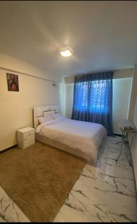 Riverside view one bed room apartment near UNECA - 7
