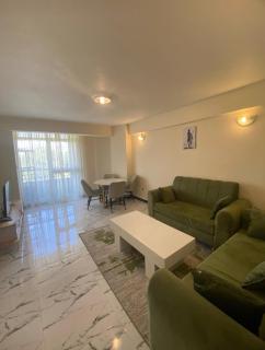 Riverside view one bed room apartment near UNECA - 9