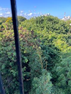 Baraka Estate, Nyali, Mombasa - 1