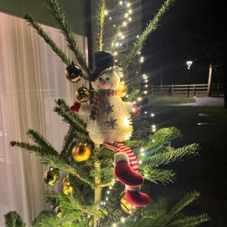 Tago Forest - Dune Apartments - 8