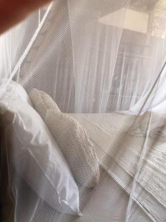 Special and Beautiful House in Prea - CEA032-AC - 6