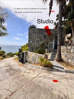 Studio Panoramic vue mer époustouflante et piscine à débordement - 7