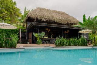 Jungle River Resort - 0