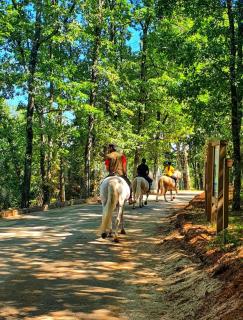 Parque Biologico de Vinhais - 6