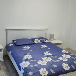 Central apartment Târgu Mureș - 9