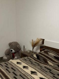 Хата у Карпатах - 6