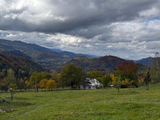 Хата у Карпатах - 3