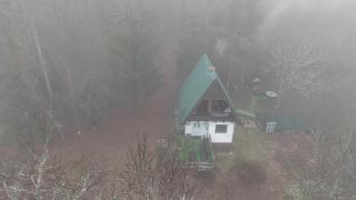 UNDER THE GREEN ROOF - 5