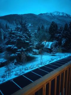T2 Cabine en duplex ST LARY SOULAN - 3
