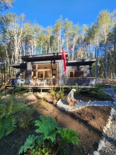 Casa en el Bosque, completa desconexión, Pucón - 0