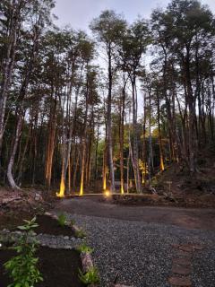 Casa en el Bosque, completa desconexión, Pucón - 3