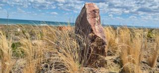 Luxury Lodge Costa Blanca - 5